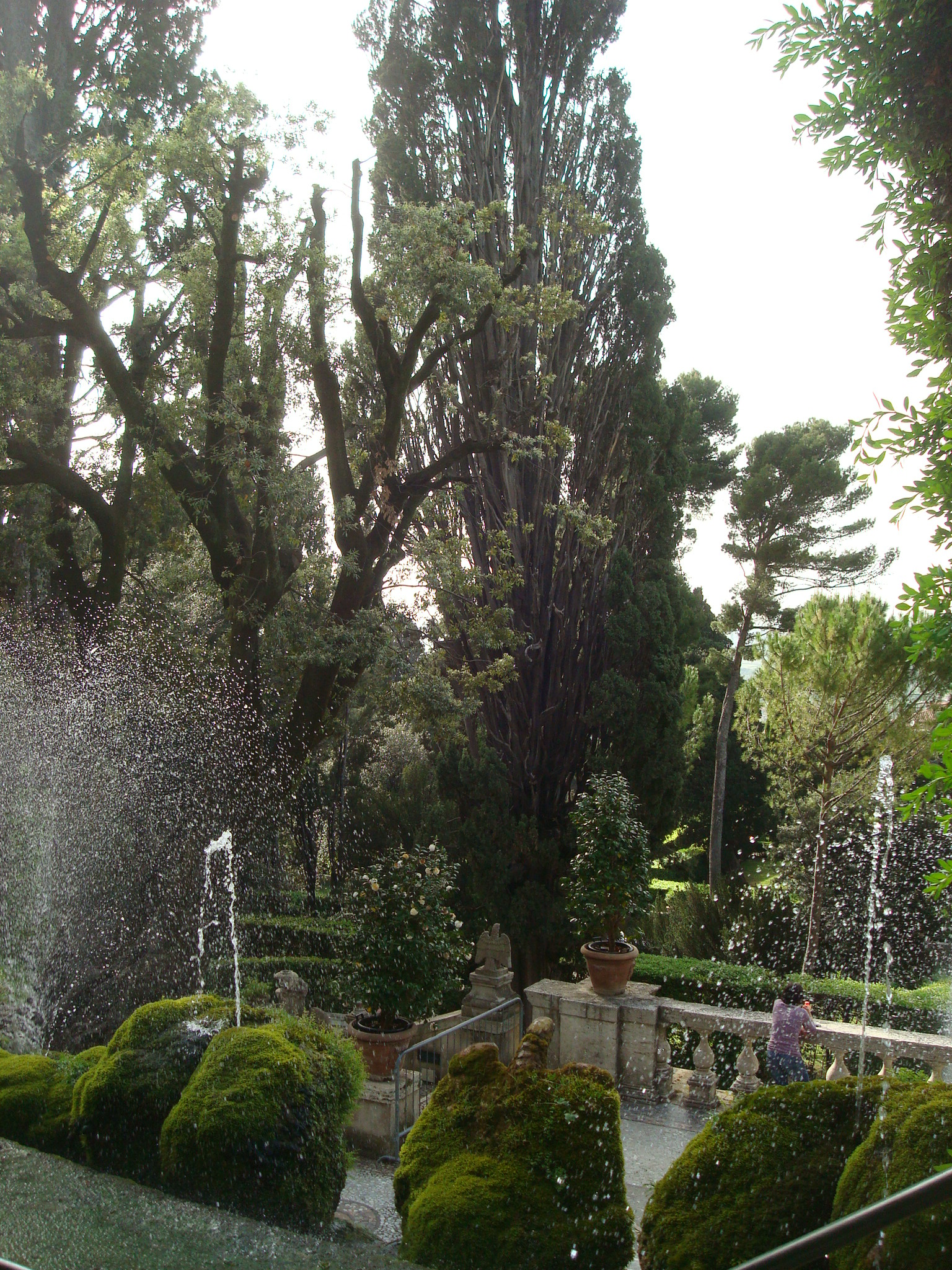 Villa D'Este fountain