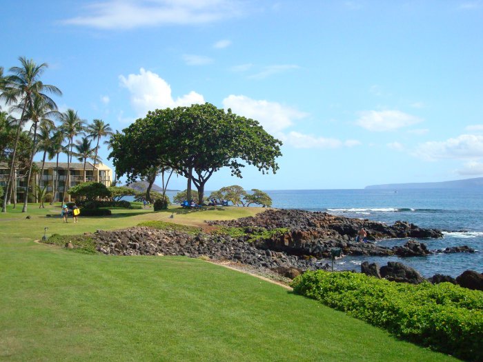 Maui Hotel property